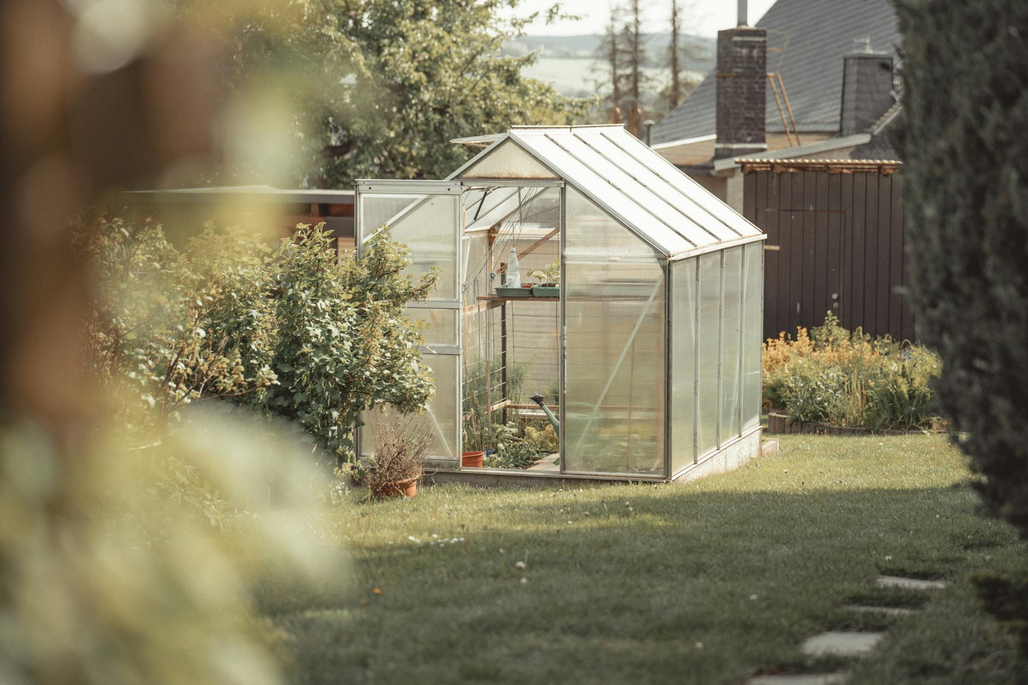 Subsidised insurance for greenhouse farms launched