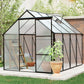 Heavy-Duty 6x8 FT Black Greenhouse with Base & Anchors | All-Season Walk-In