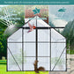8x10 FT Modern Black Polycarbonate Greenhouse – Heavy Duty Double Door Walk-In