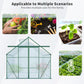 8x10 FT Premium Green Polycarbonate Greenhouse – Heavy Duty Double Door Walk-In